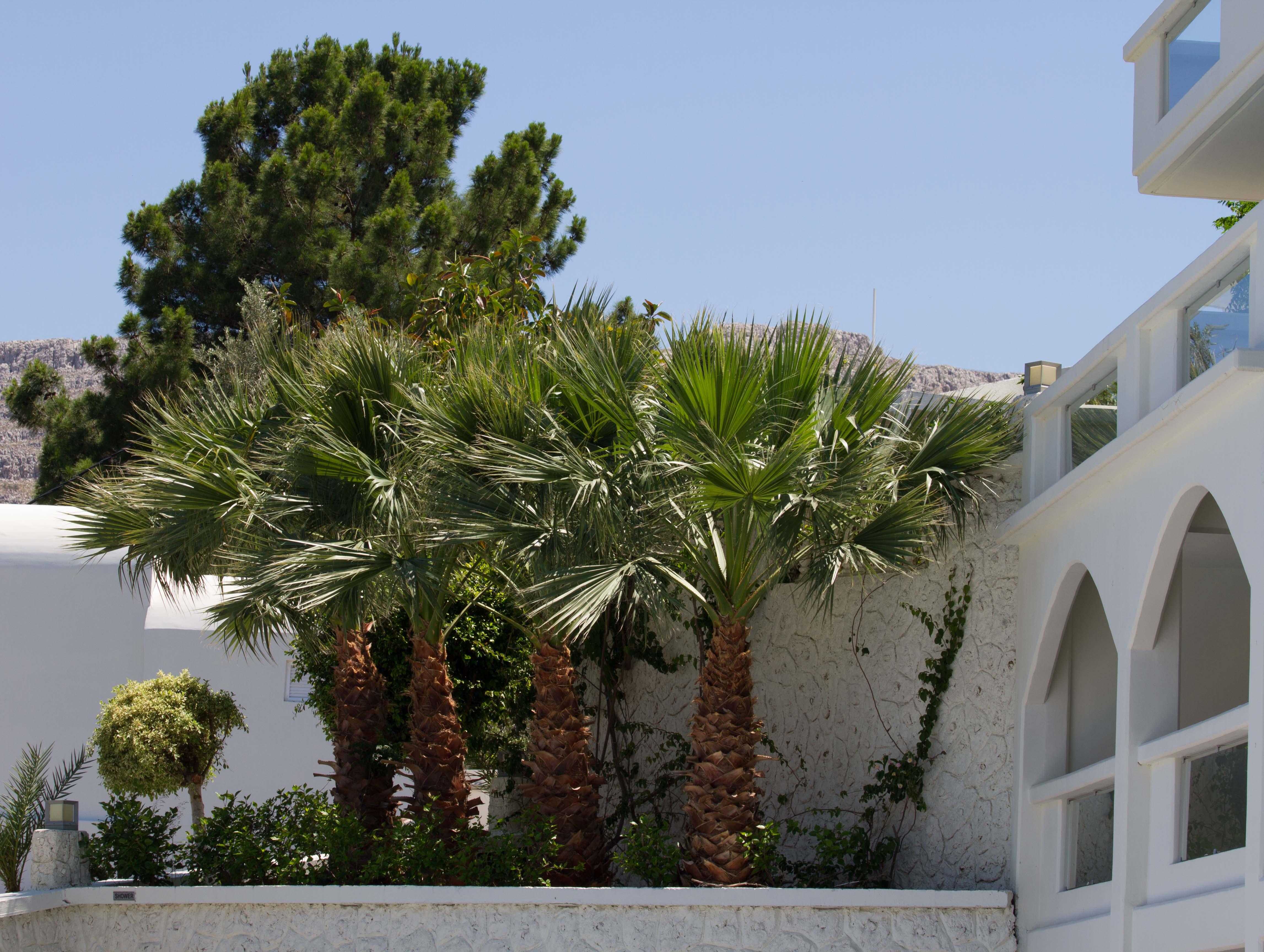 Lindos White Hotel & Suites Luaran gambar